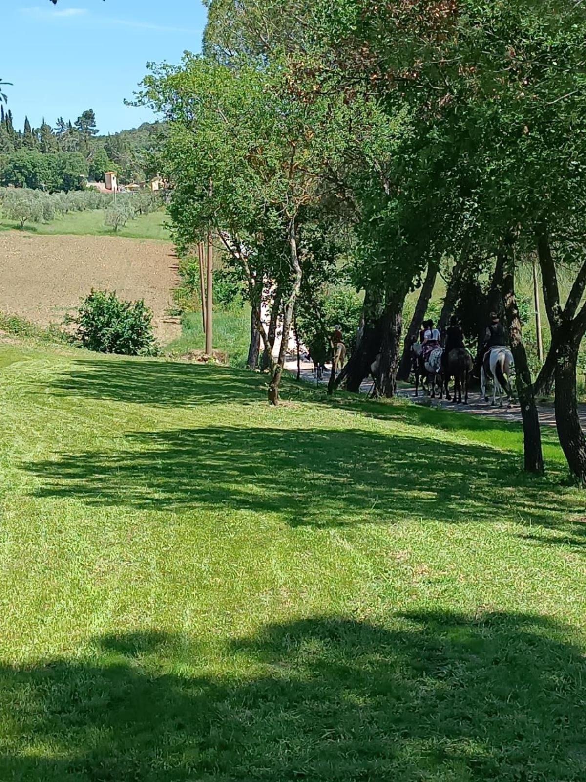 La Casa Dei Breton Lejlighed Magione Eksteriør billede