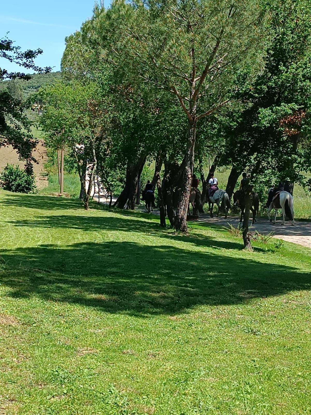 La Casa Dei Breton Lejlighed Magione Eksteriør billede